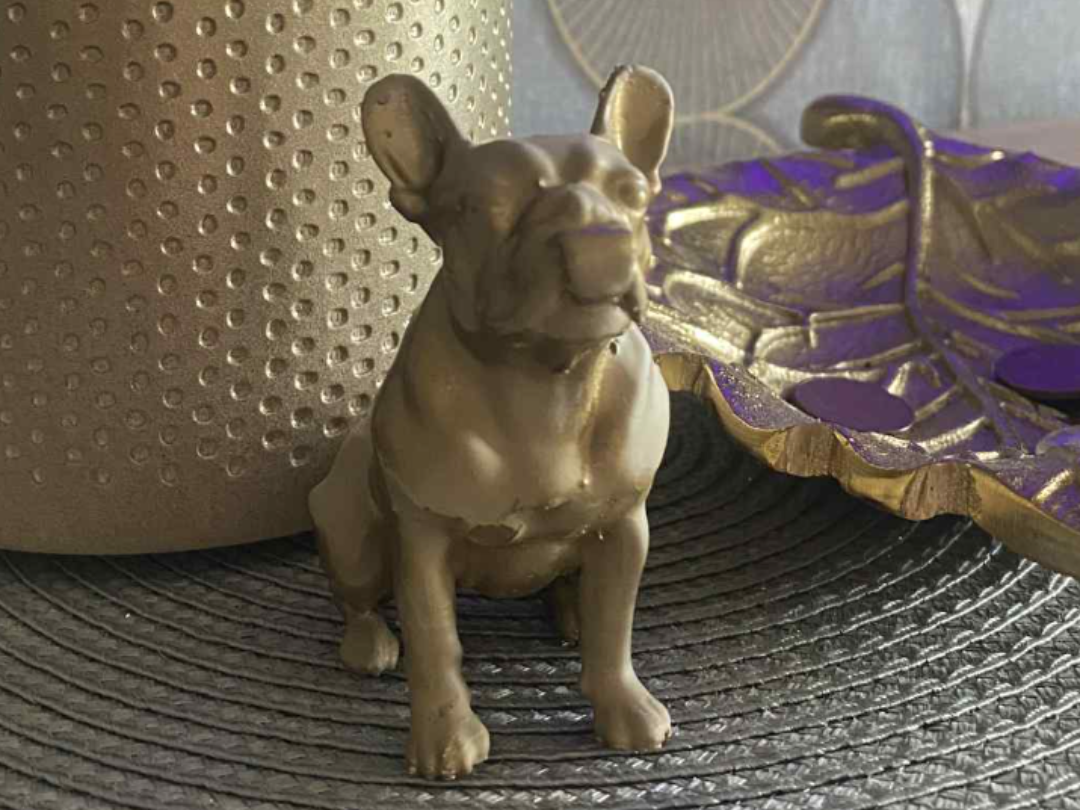french bulldog with tongue out