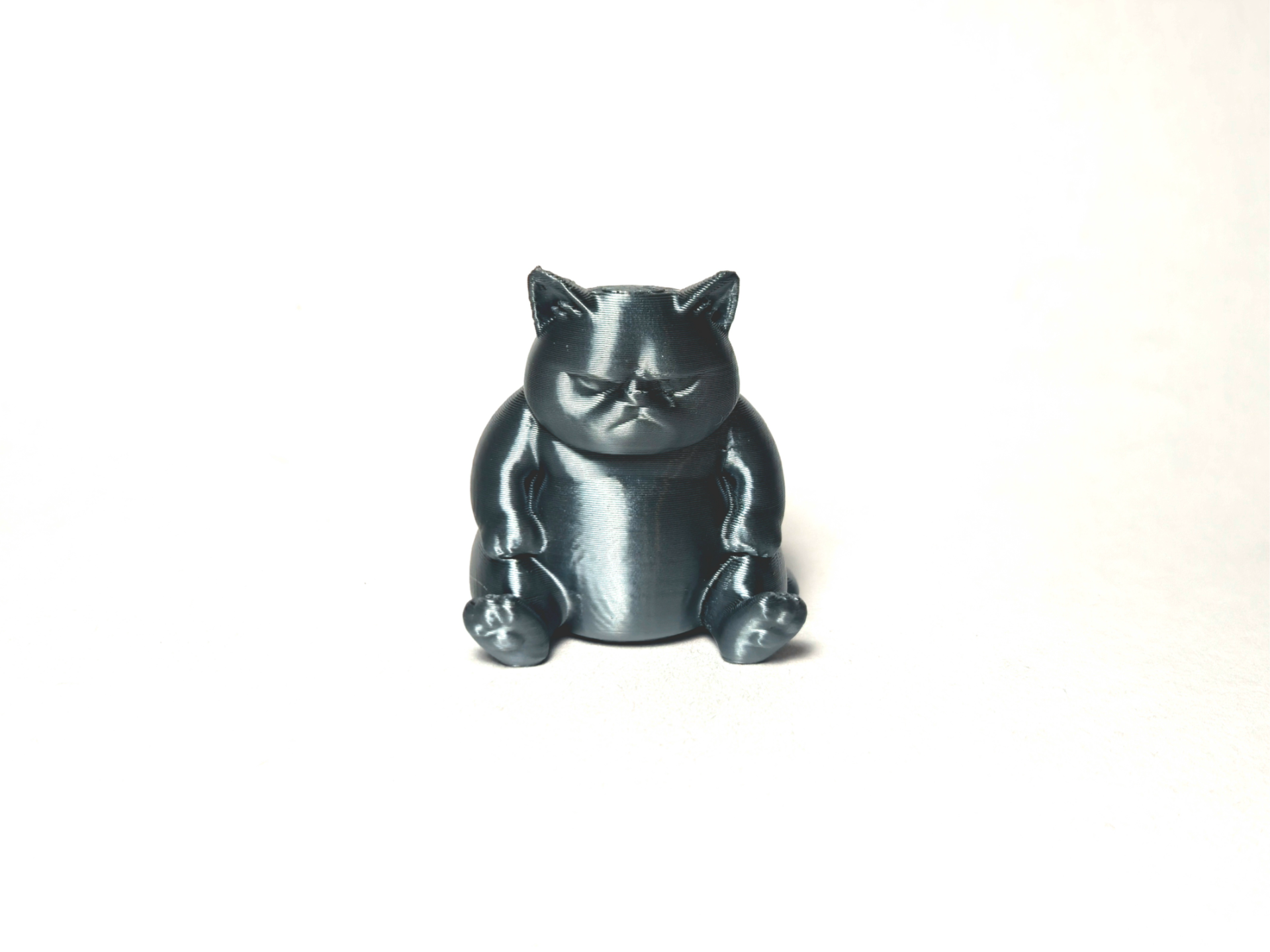 Grumpy Fat Cat