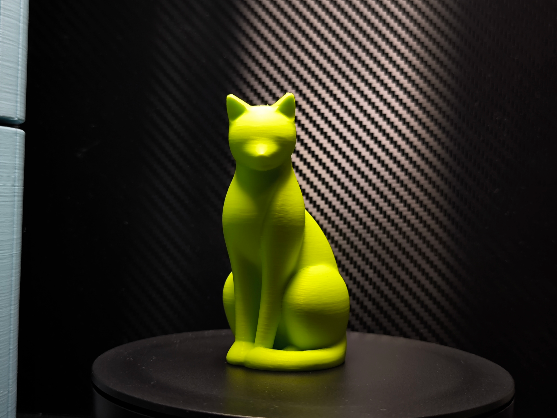 Moderne Katzen stature