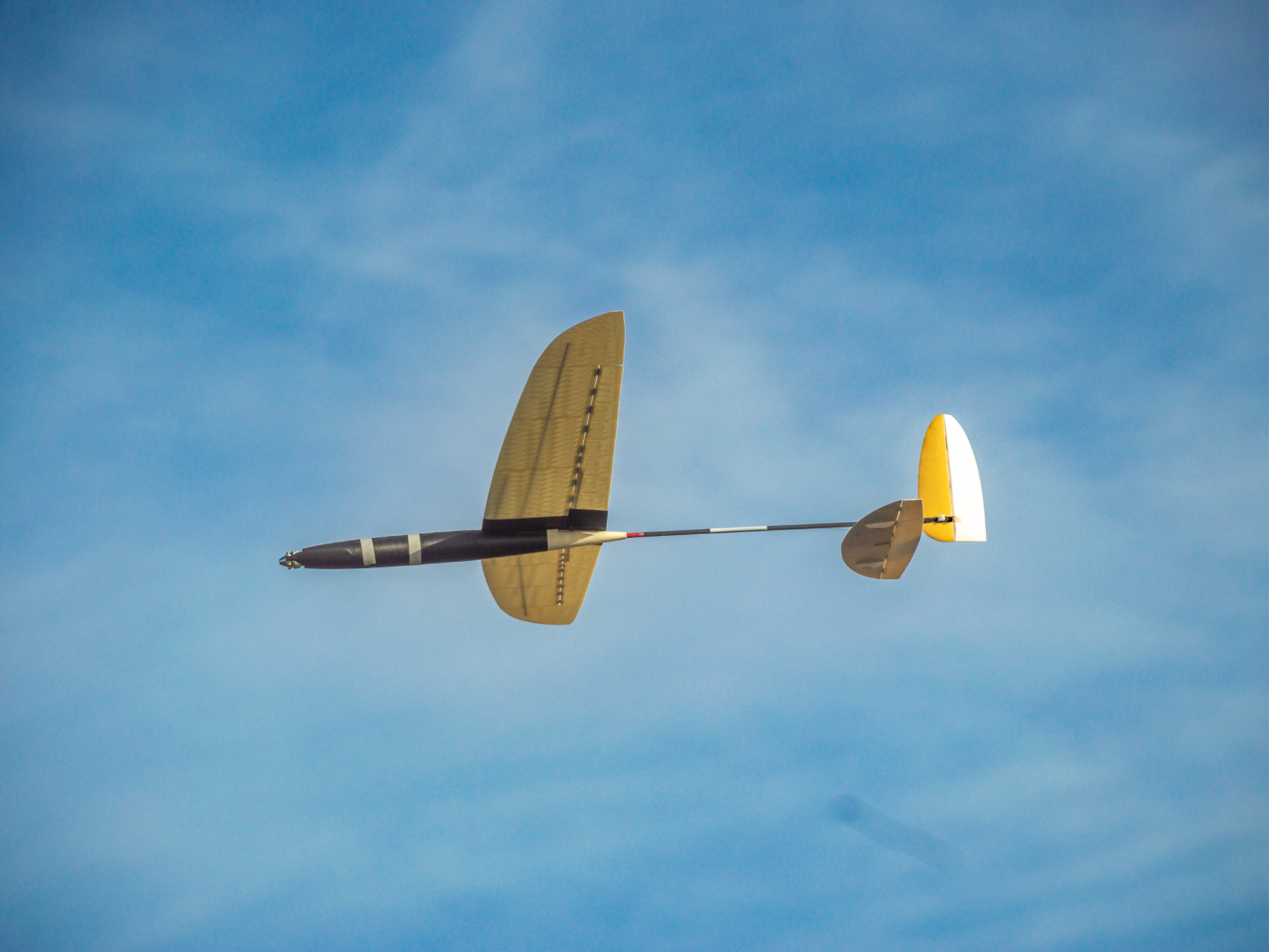 High Performance RC Glider, F5k, e-DLG Style, 1.5m