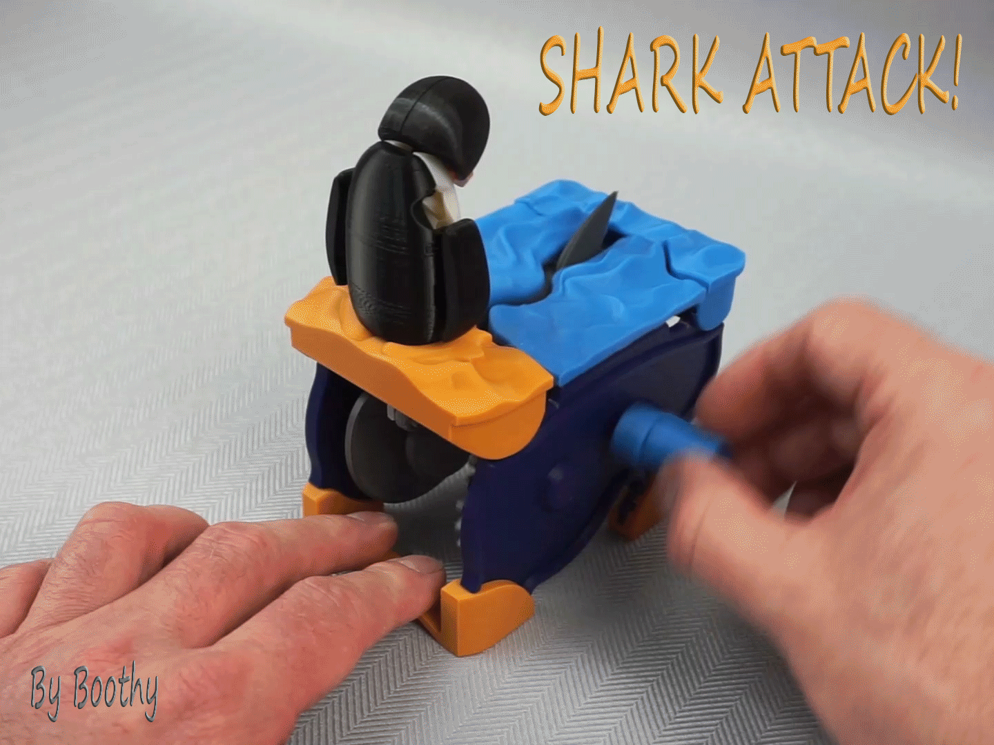 Shark Attack