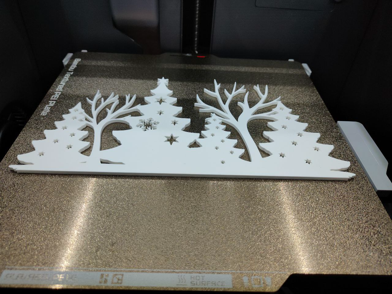 Christmas forest