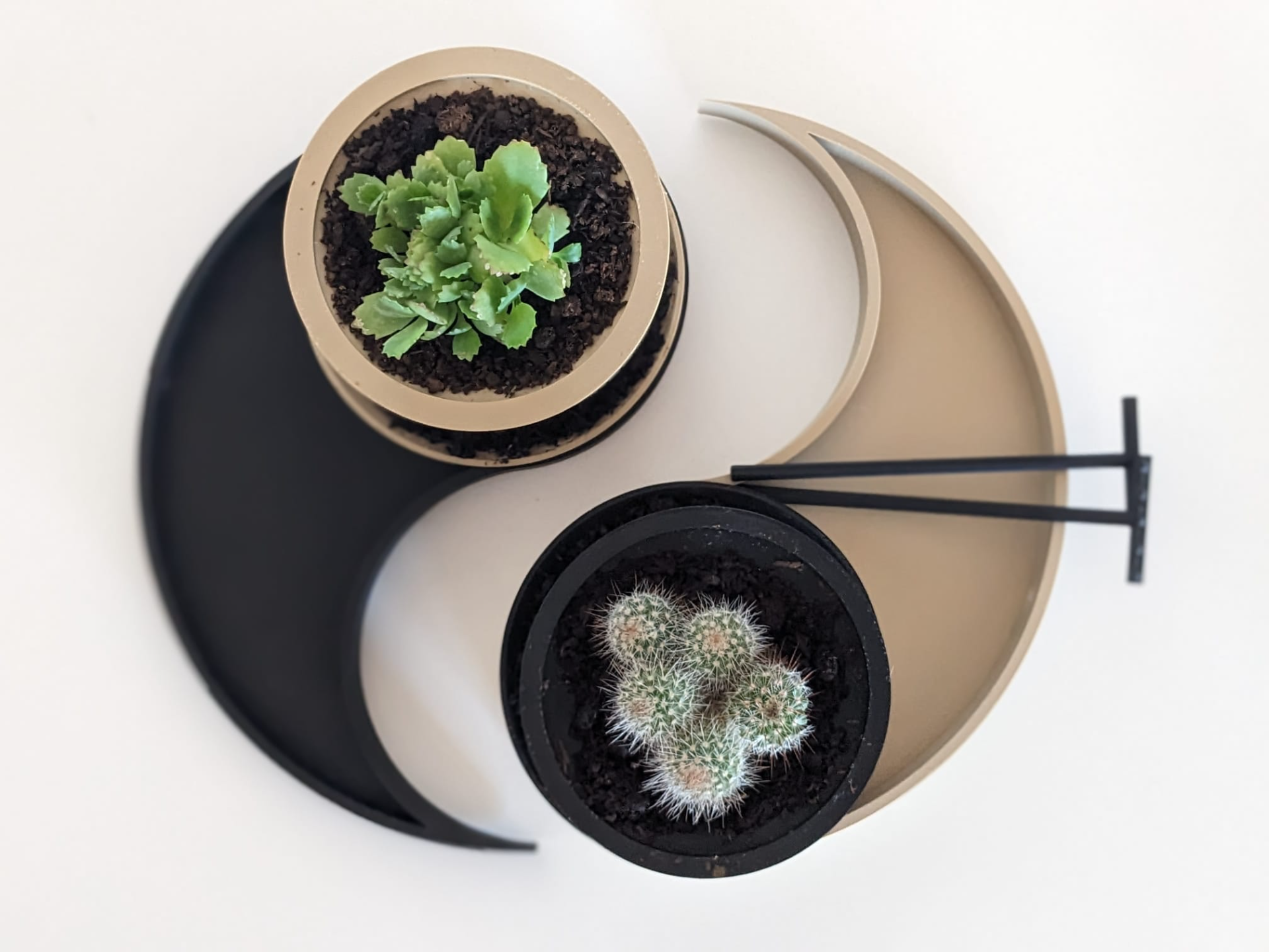 Yin Yang Zen garden with Plant pot organic