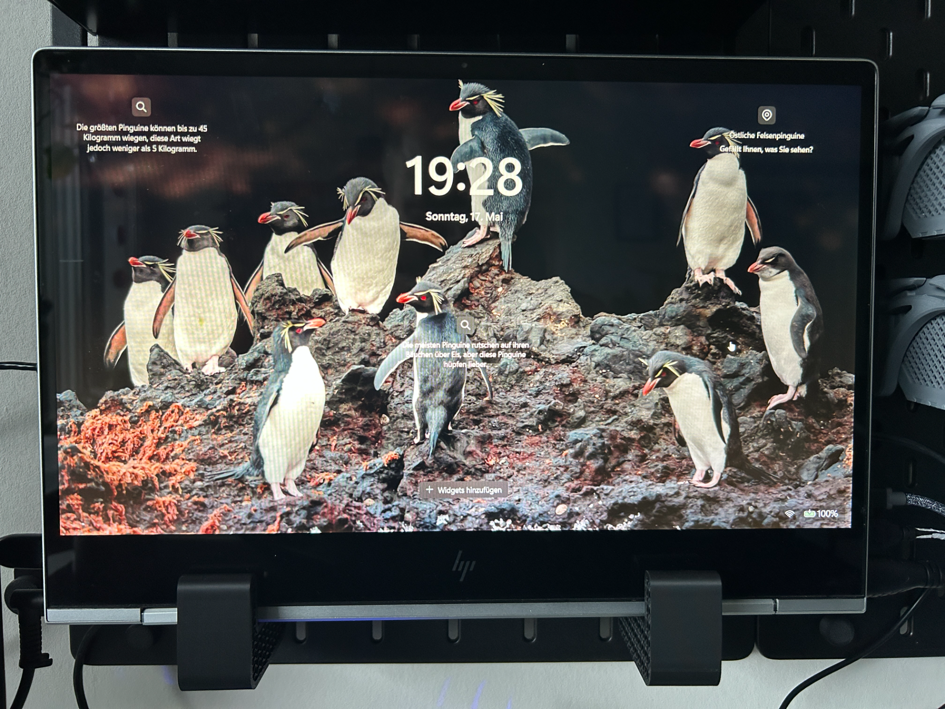 Skadis IKEA Laptophalter mit Kippschutz