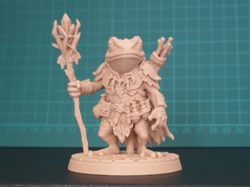Frog Druid Miniature | Tabletop DnD Figurine