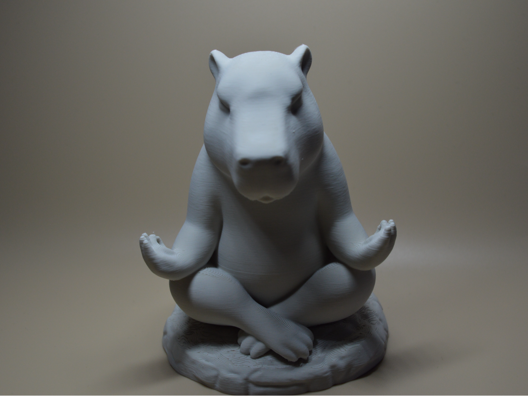 Zen Capybara
