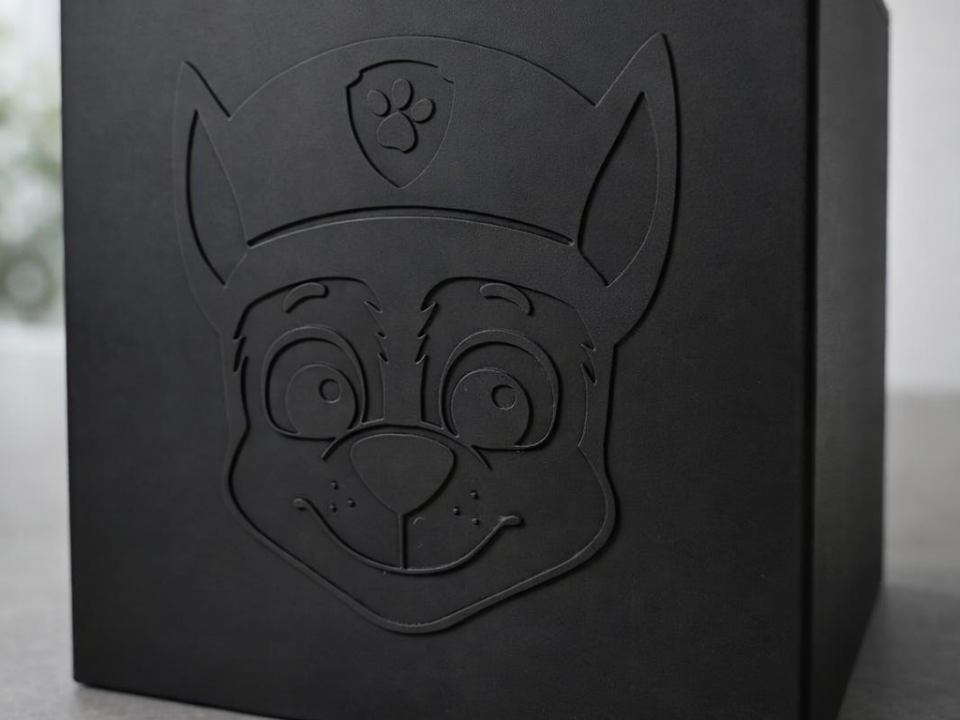 Box mit Deckel Paw Patrol