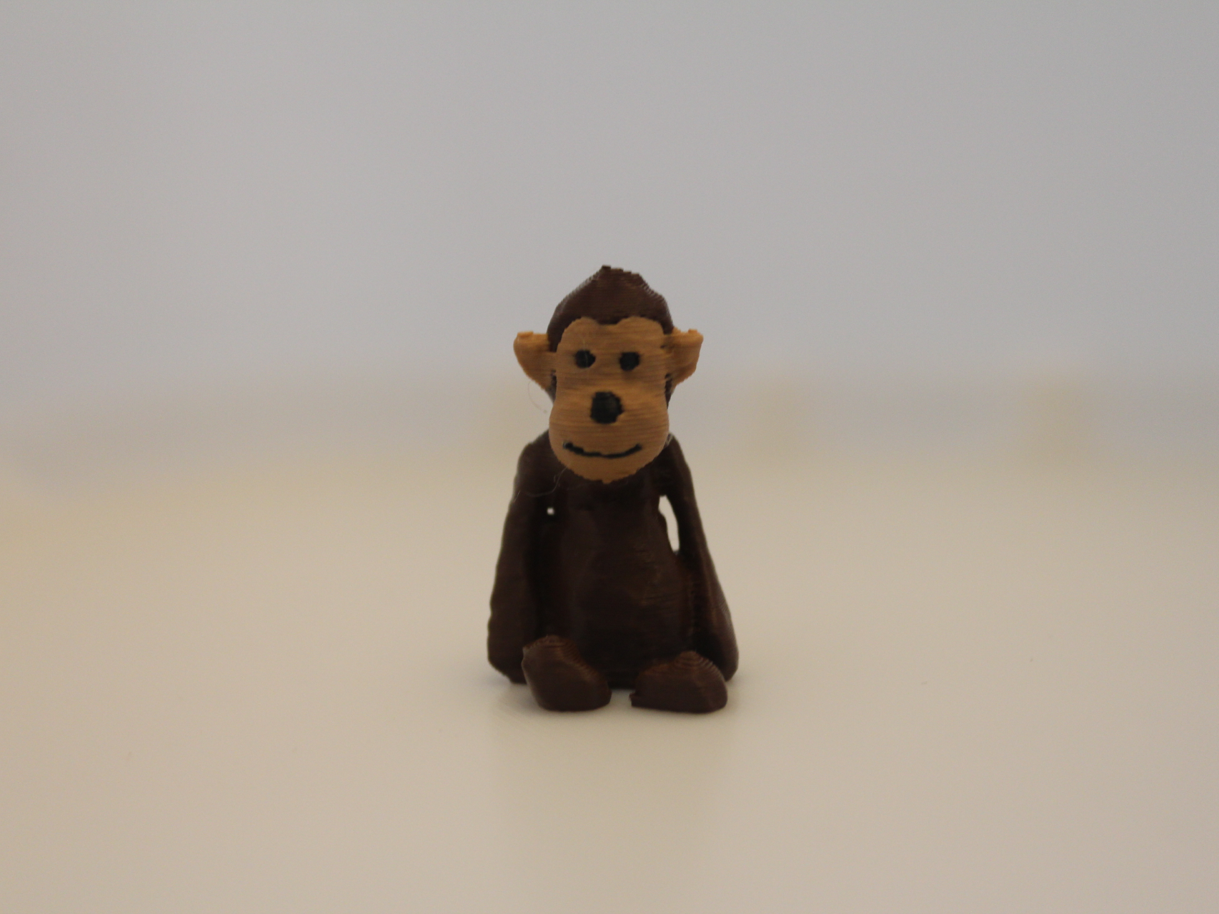 Cute Monkey