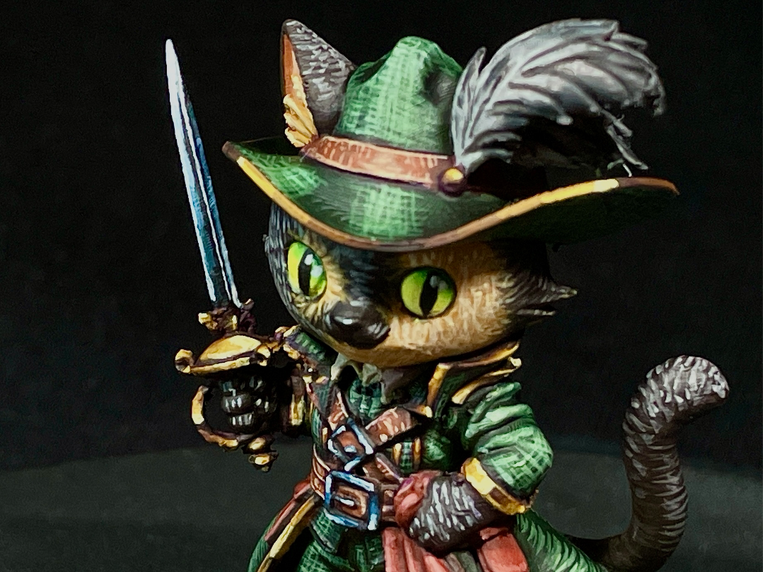 Swashbuckler cat