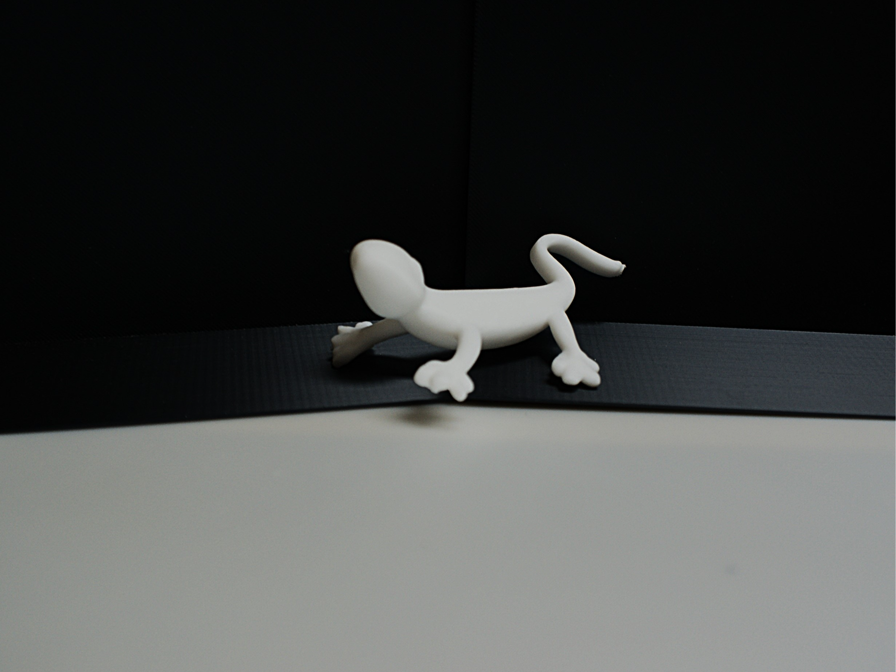 Gekko