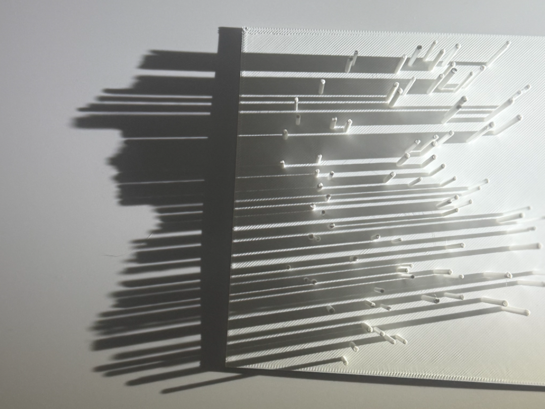 Cowgirl in Shadows – Optical Illusion Art Piece