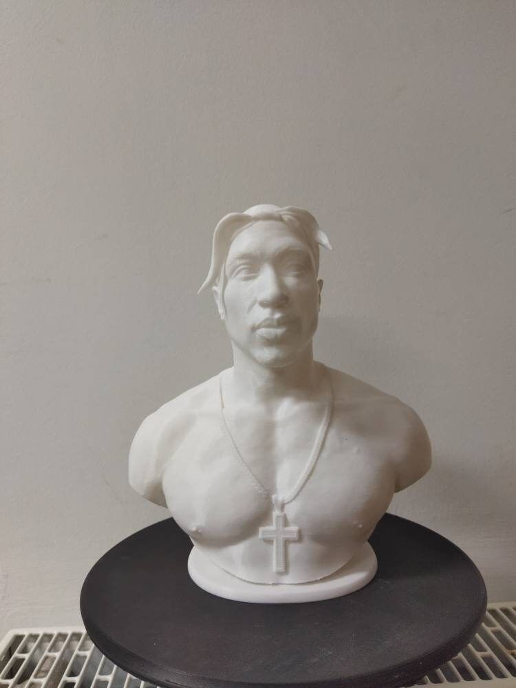 2Pac bust