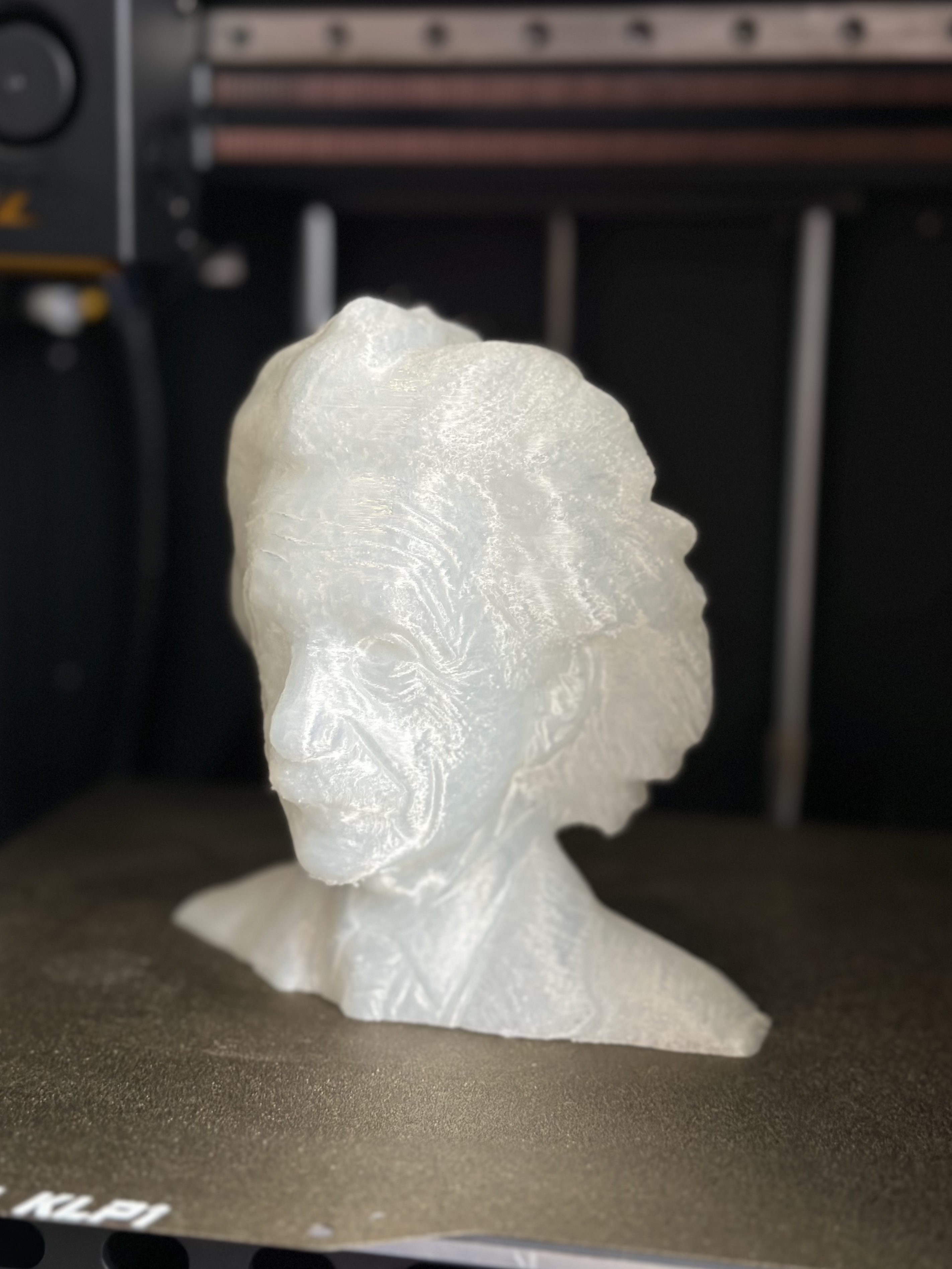 Albert Einstein Bust