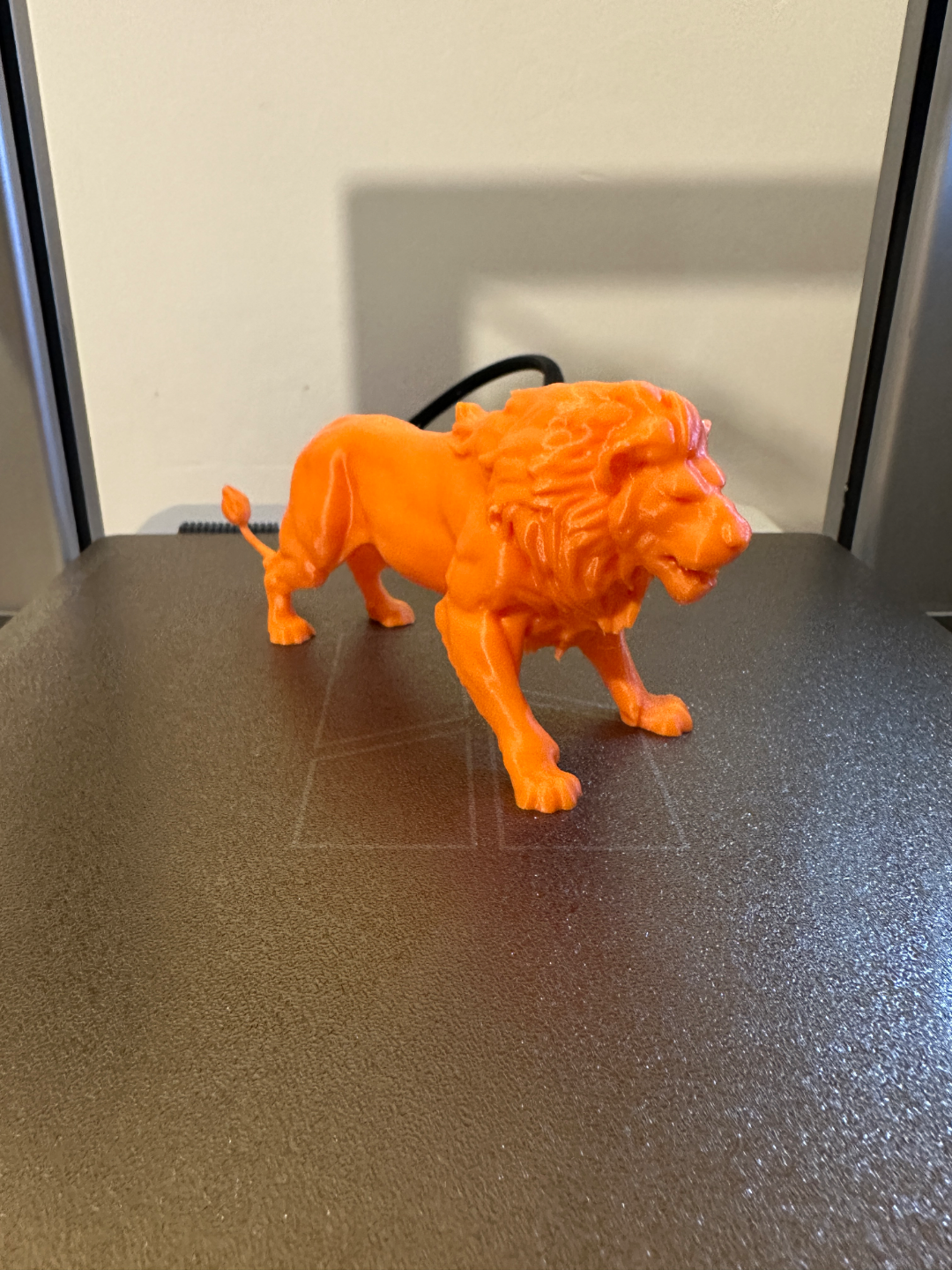 Lion Stance