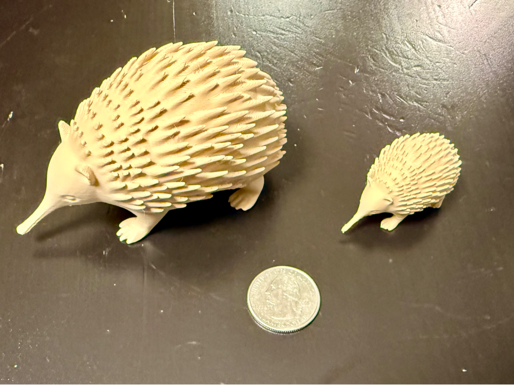 Echidna Model