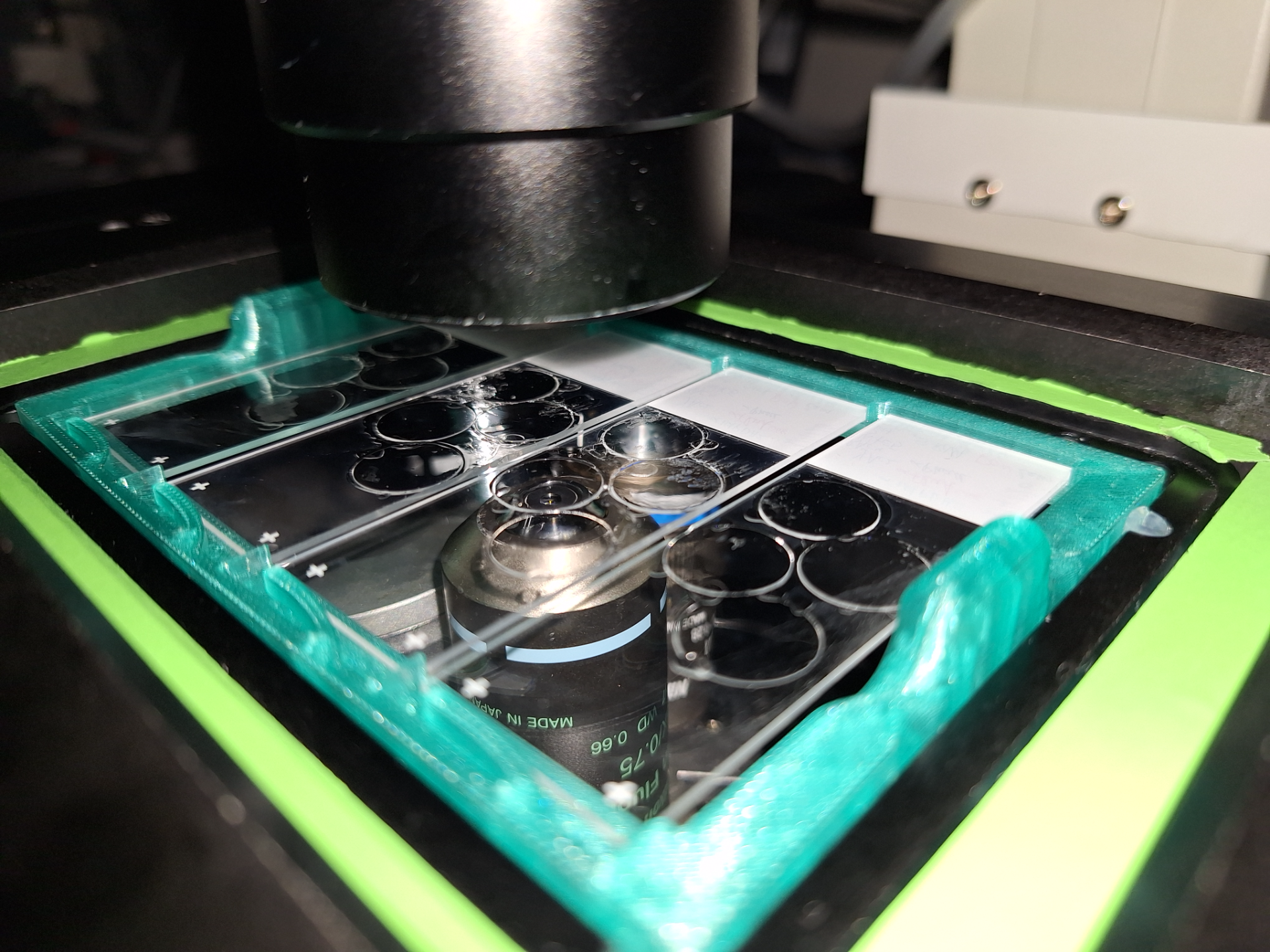 Multi-Slide Microscope Adapter (4 Slides)