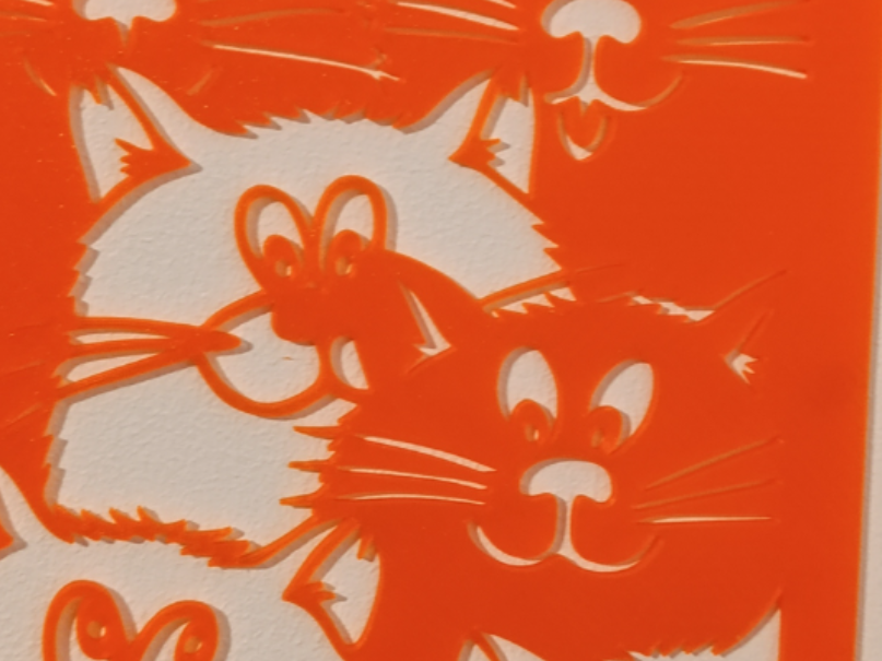 cute kittens wall art