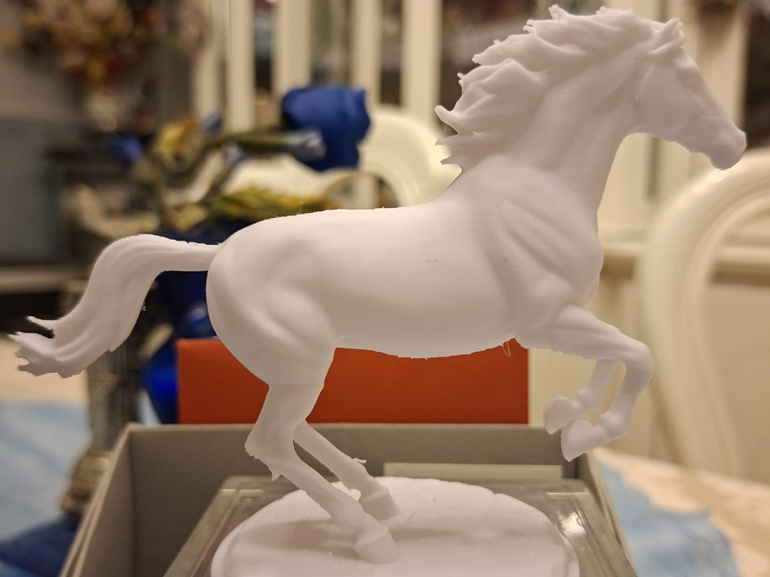 Cavallo su onde HD