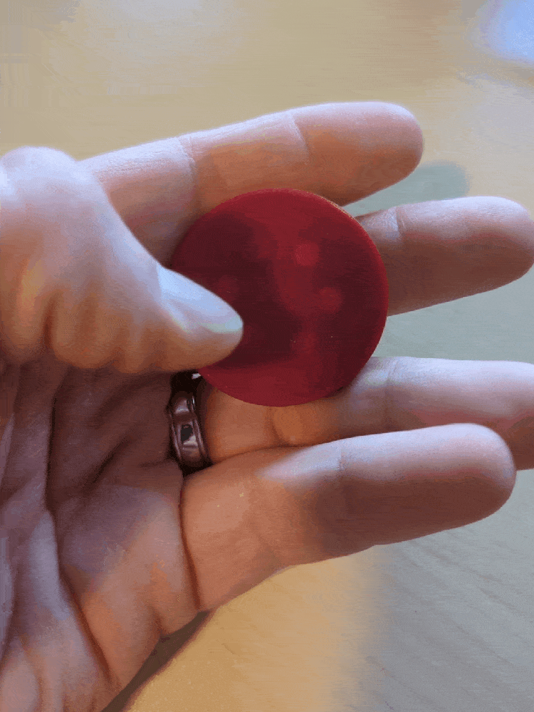 Reversible Magnetic Poker Chip Fidgets