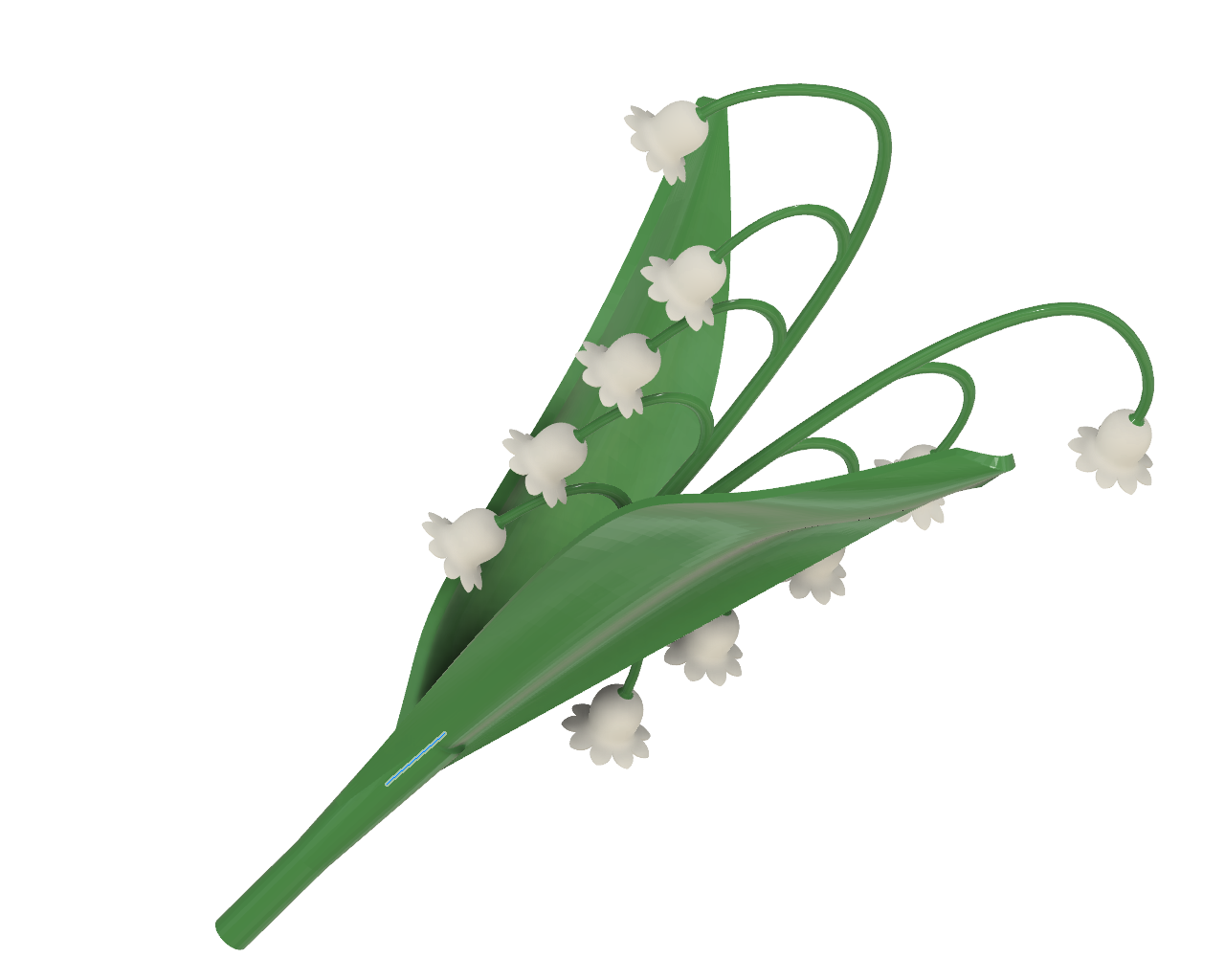 Lily of the valley / Muguet