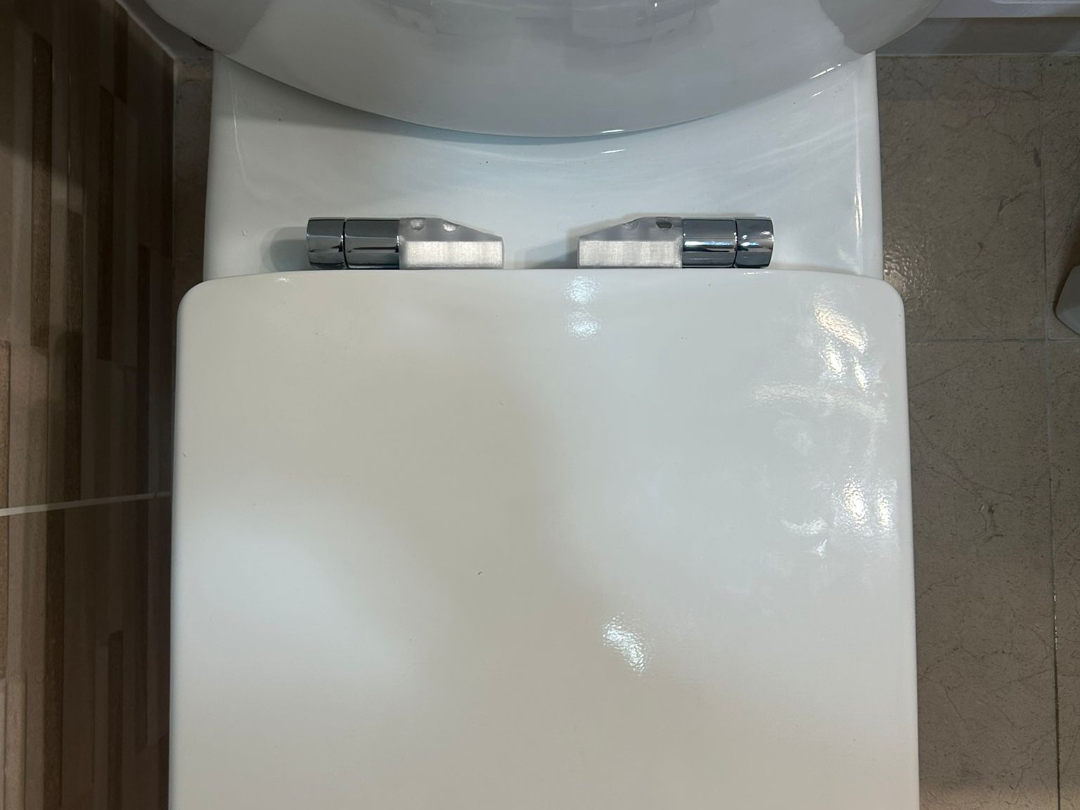 Roca toilet seat hinge with cushion replacement
