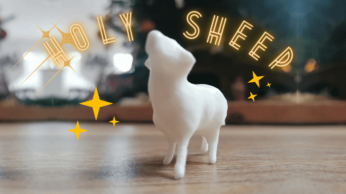 Nativity Sheep