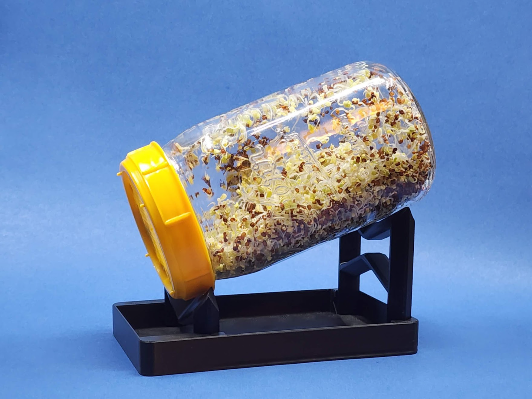 Collapsible Sprouting Jar Stand