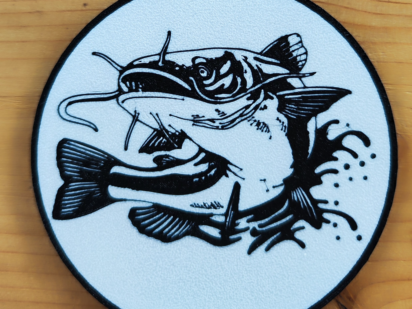 Coaster catfish