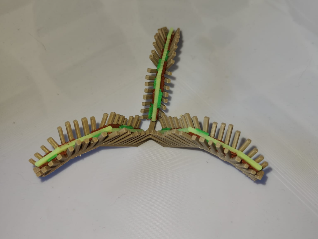 Taco Fern grow a garden inspired