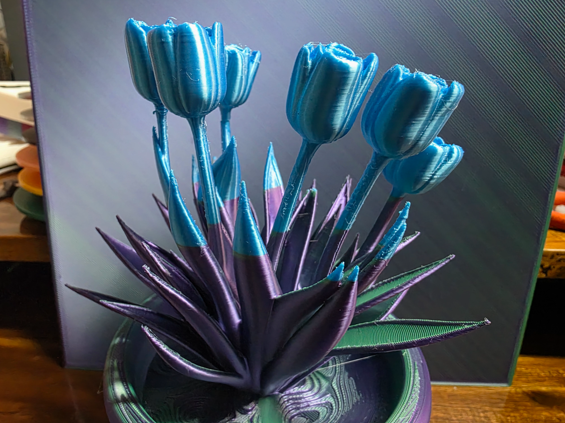 Tulpen im Topf