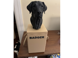 Lab Urn