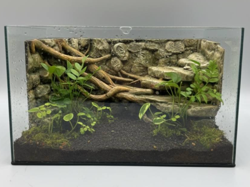 3D-Rückwand "Rainforest"