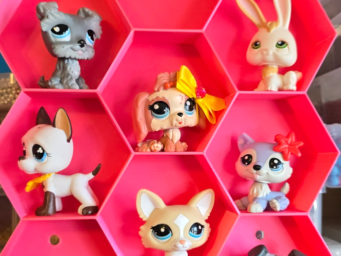 LPS honeycomb Home