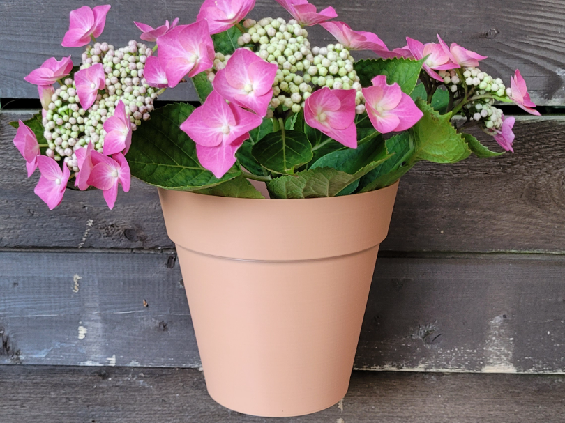 Basic Wall Planter