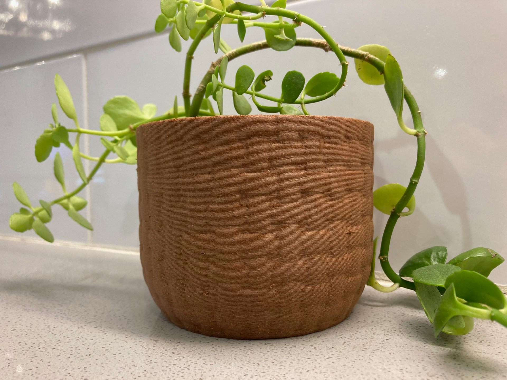 Woven Bowl Planter