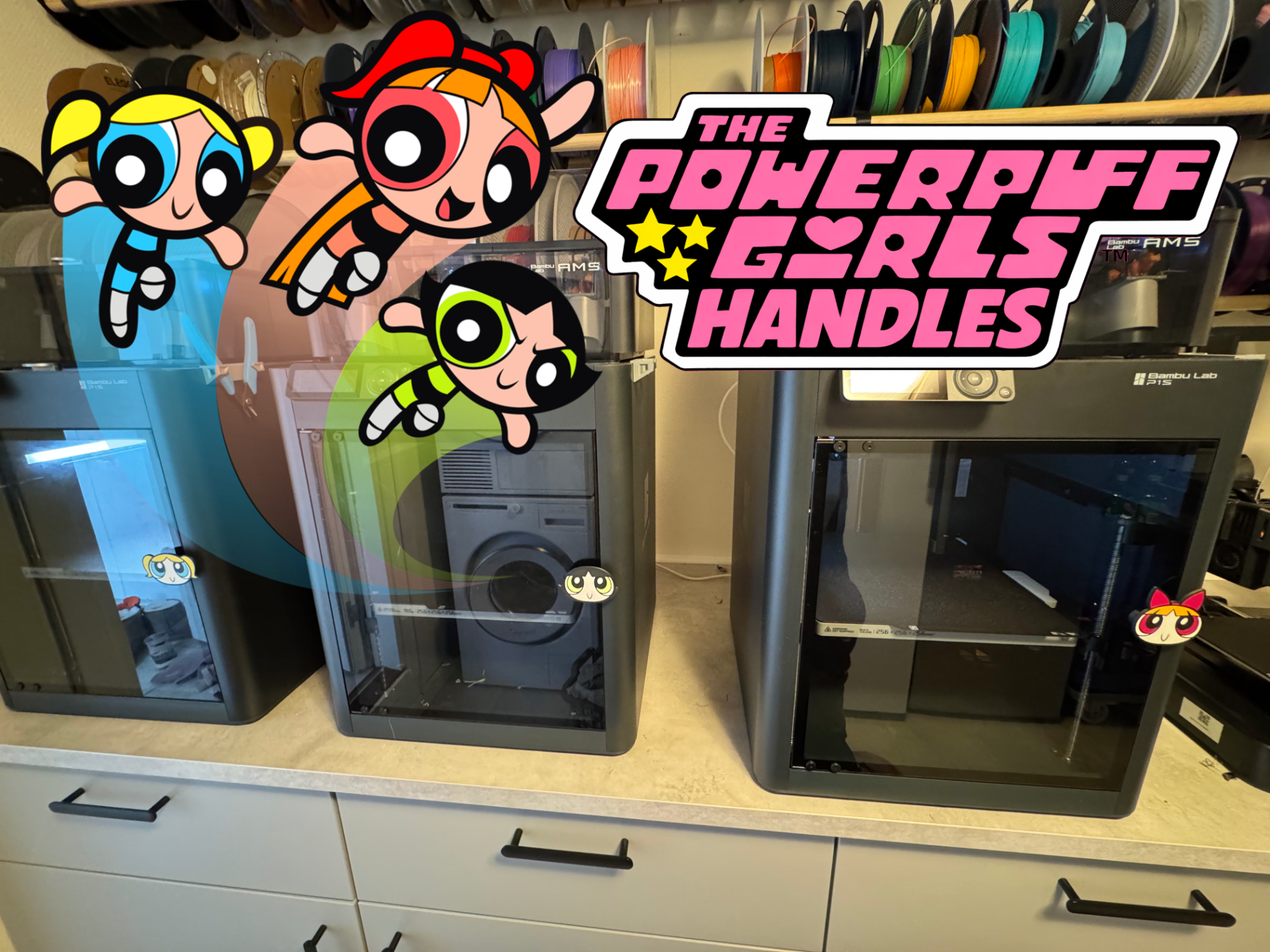 THE POWERPUFF GIRLS HANDLES
