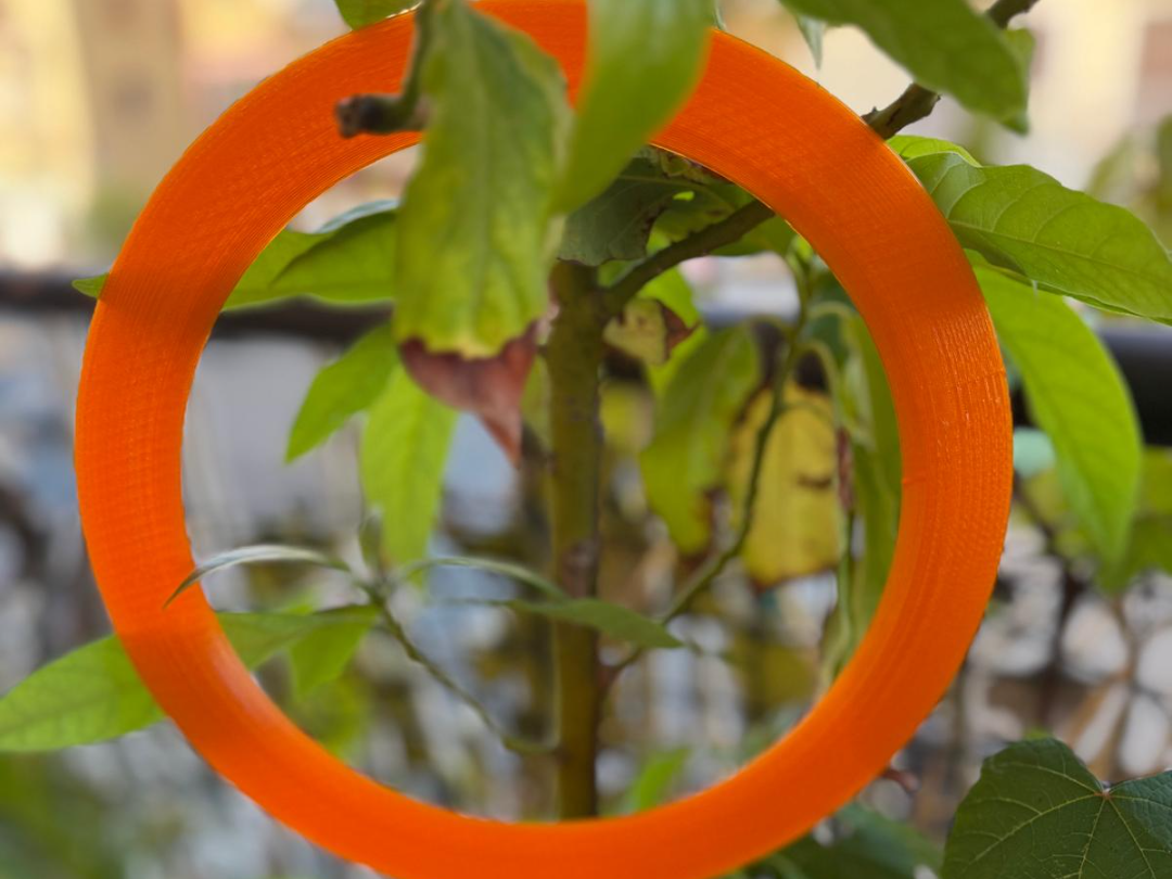 Frisbee Ring Rounded Edge