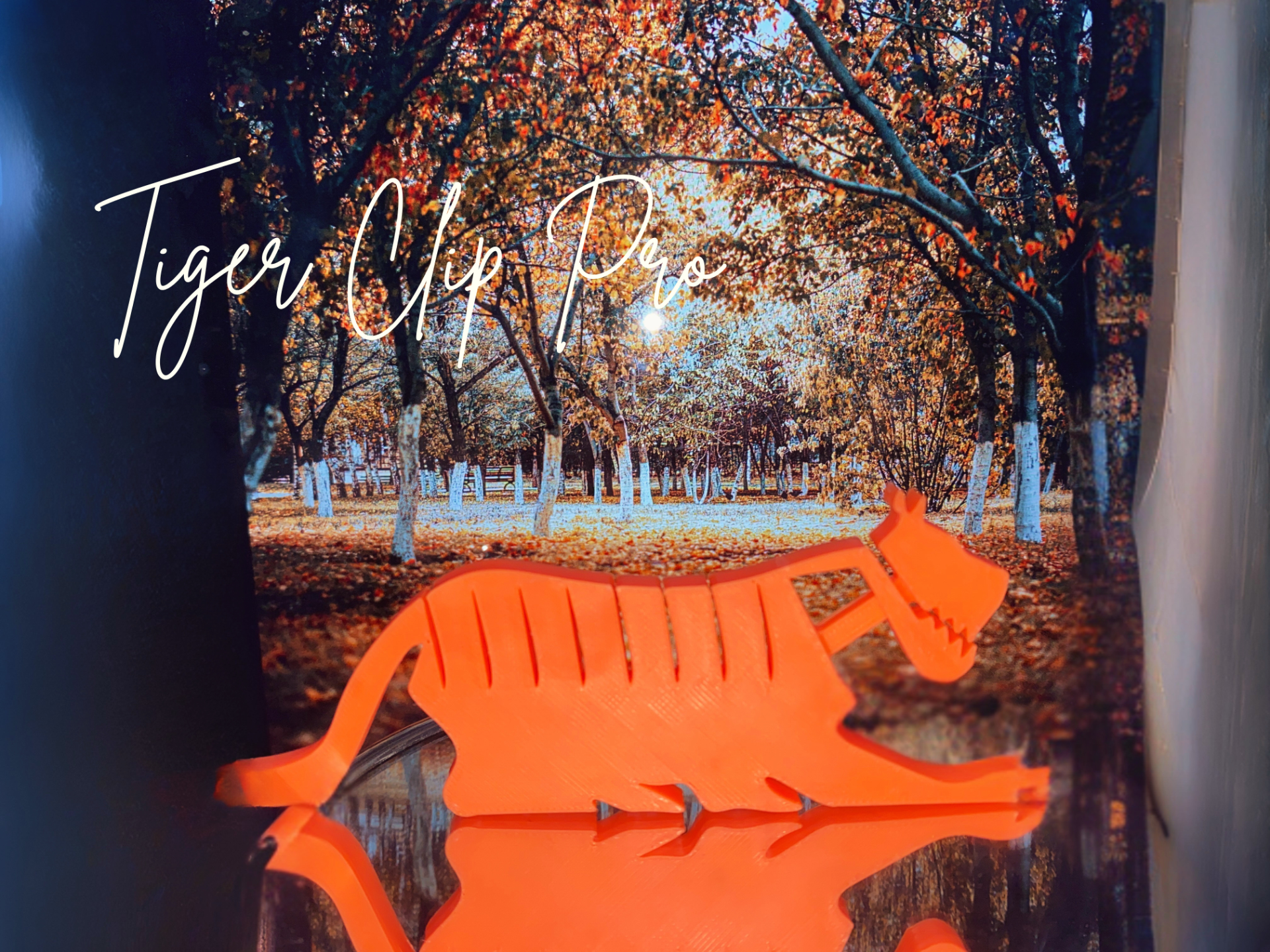 TIGER CLIP