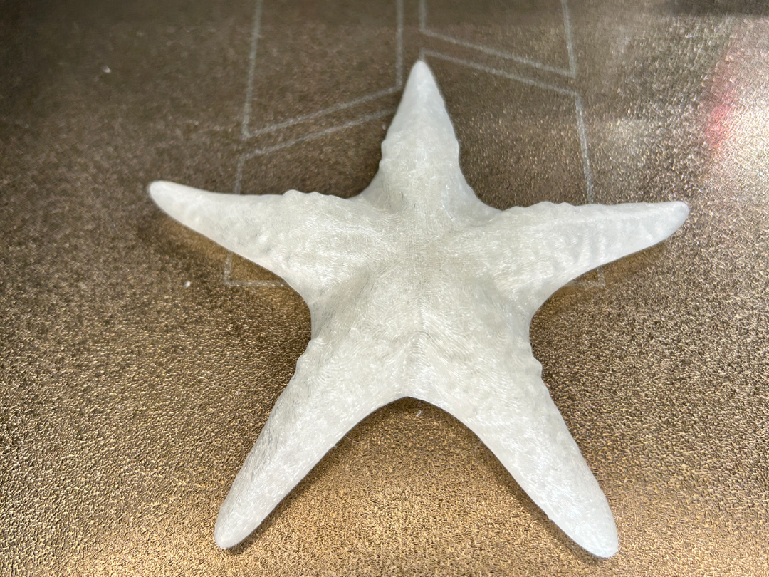 Starfish