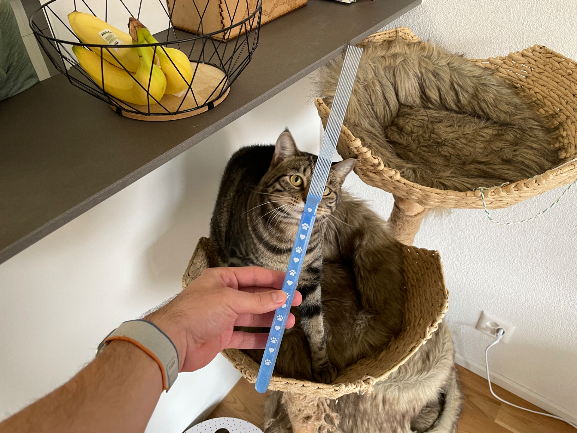 Cat Toy Stick - improved
