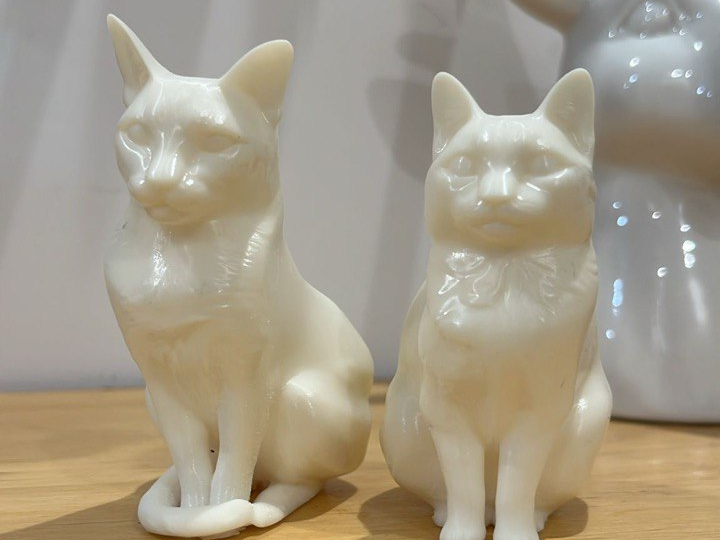 pareja de gatos