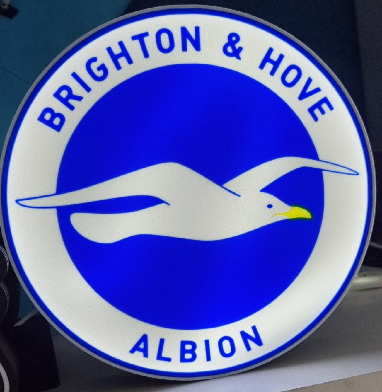 Brighton & Hove Albion Light box