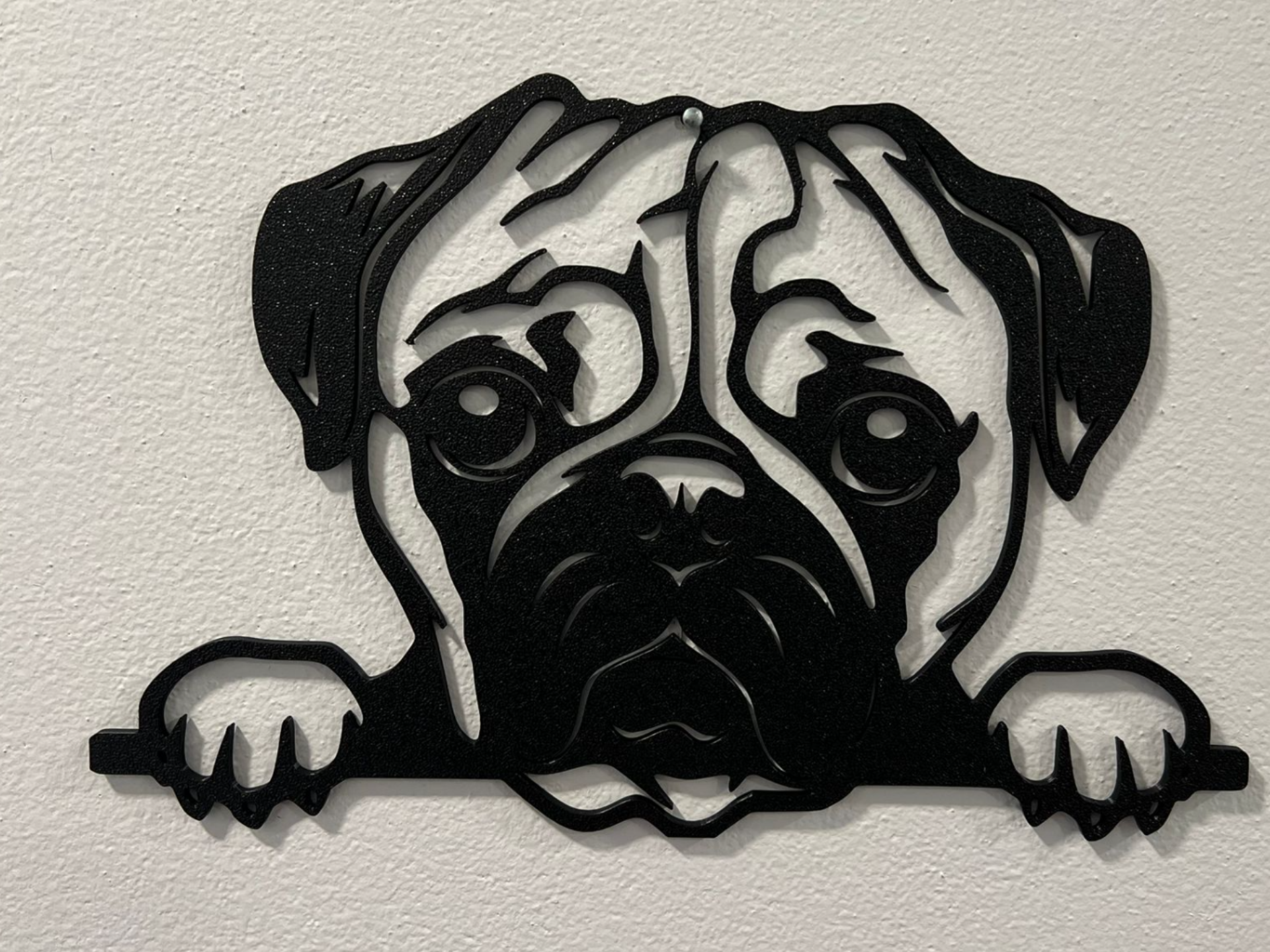 Dog pug