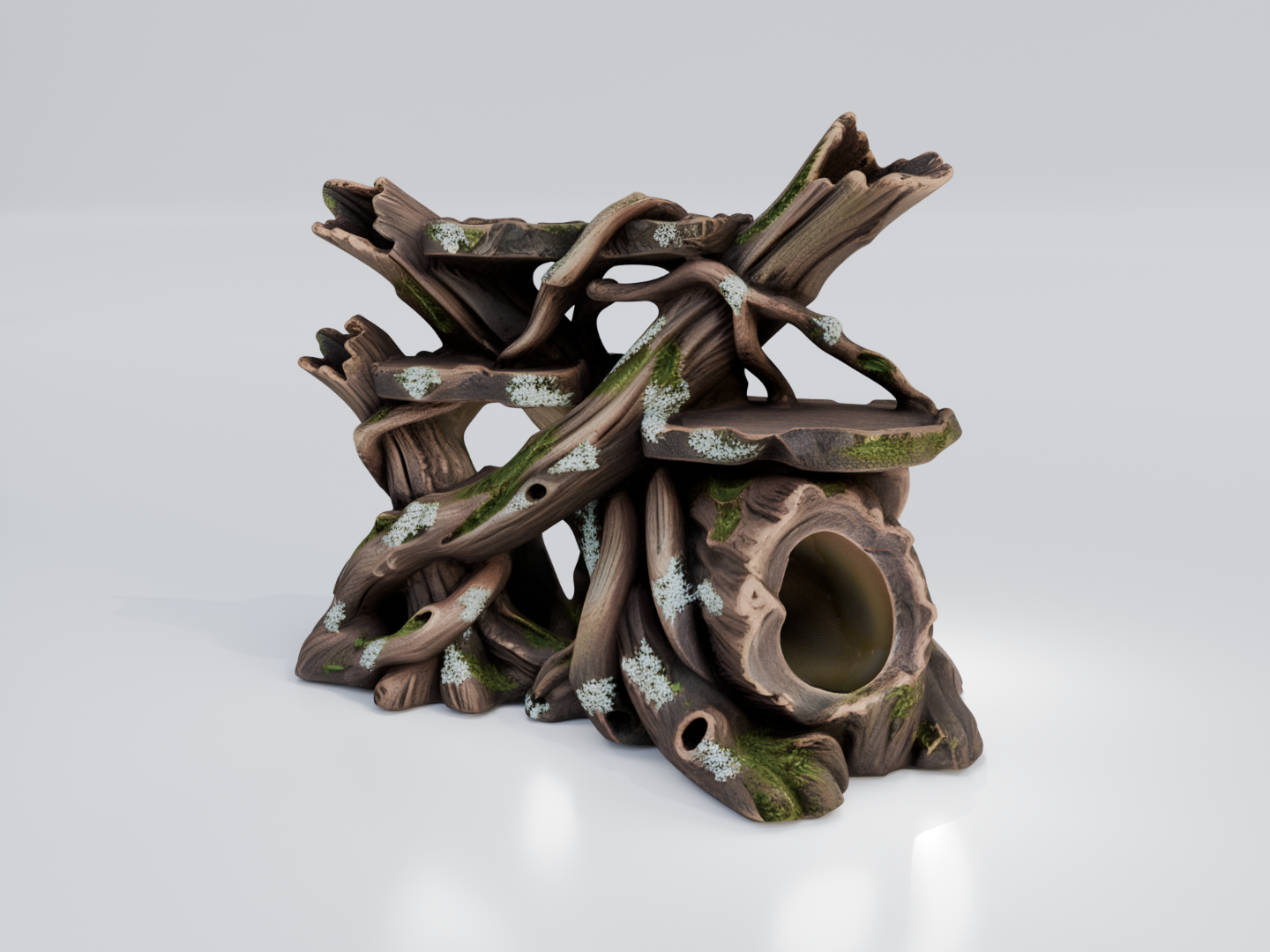 Twisted Tree Roots Hide | Tropical Rainforest
