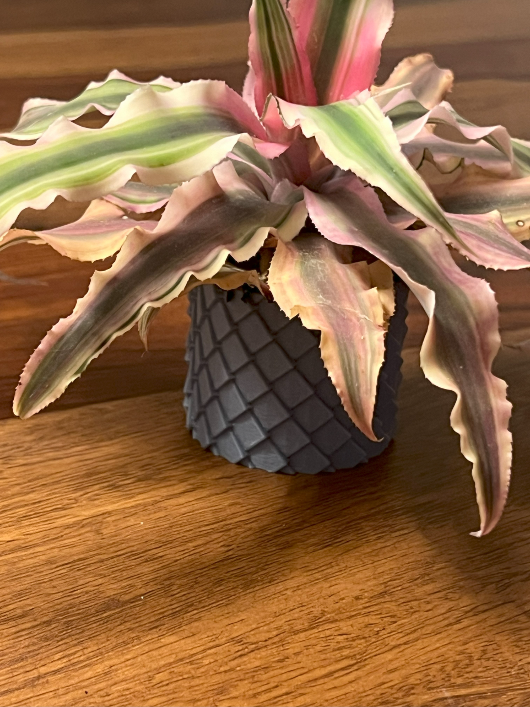 Dragon Scales Pot and Planter - Remix