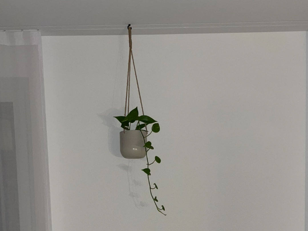 Curtain hanger
