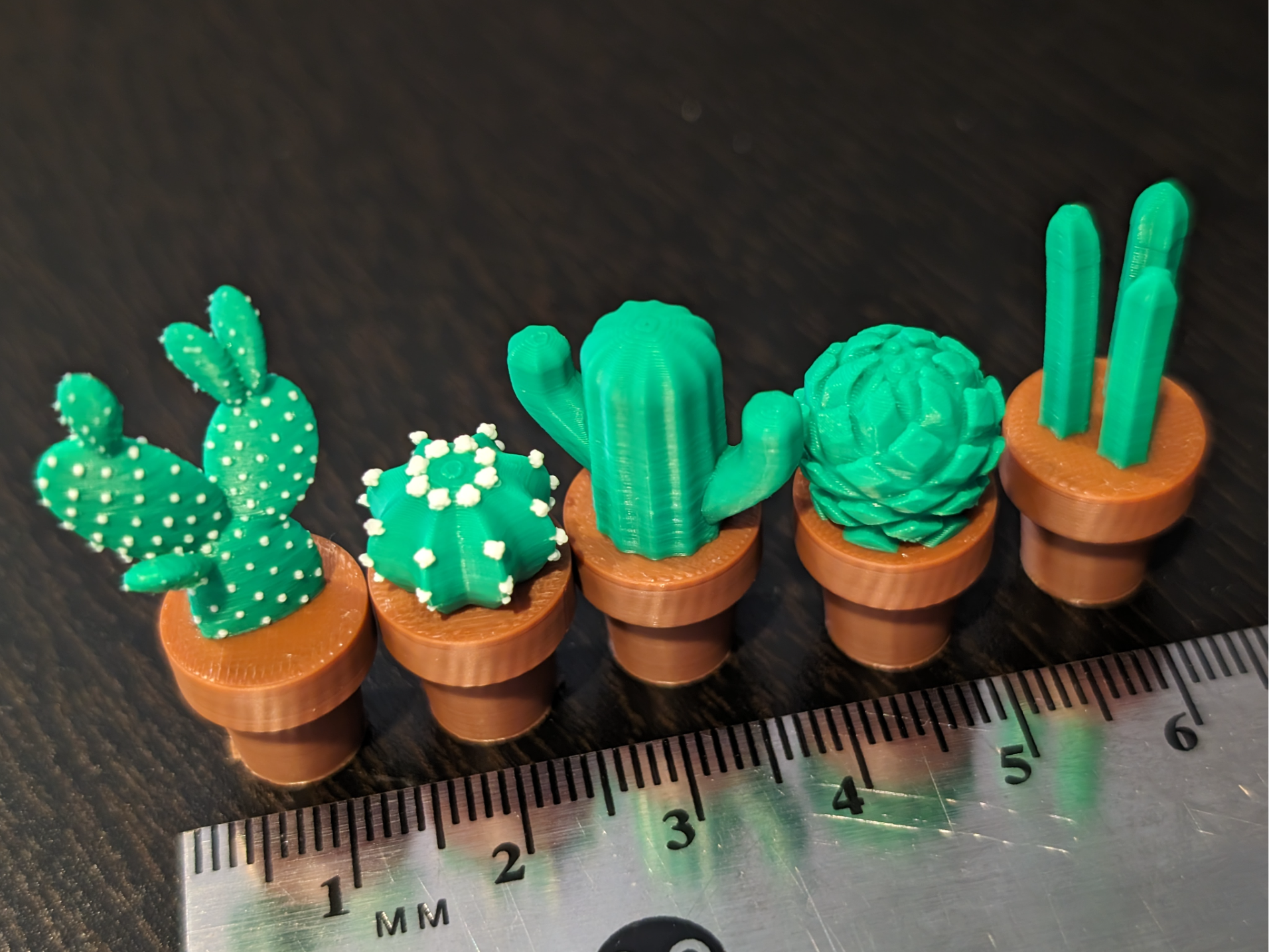 Cactus Magnets Miniatures