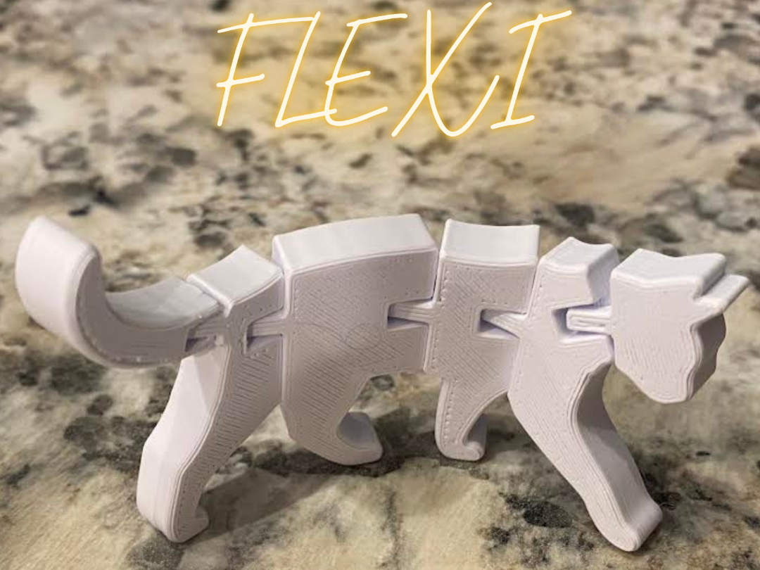Flexi Cat