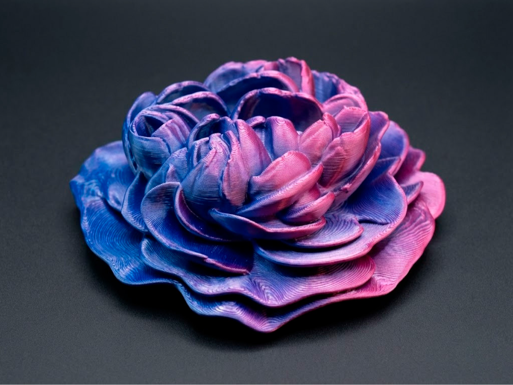 Peony flower