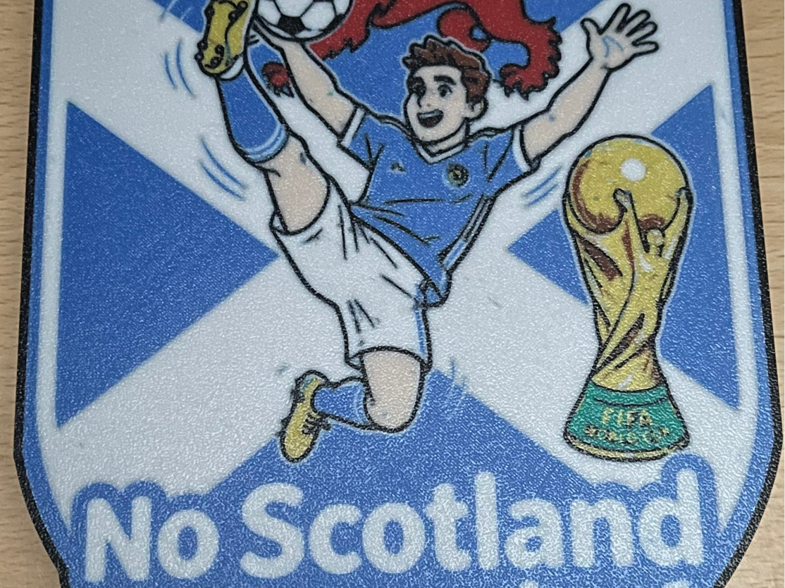 No Scotland No Party Lightbox